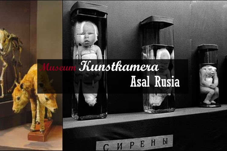 Museum Kunstkamera Asal Rusia Yang Menyeramkan
